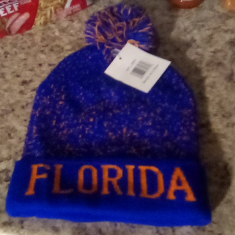 🍊$13.00   Florida winter Hoodies 🏀Ⓜ️🔐